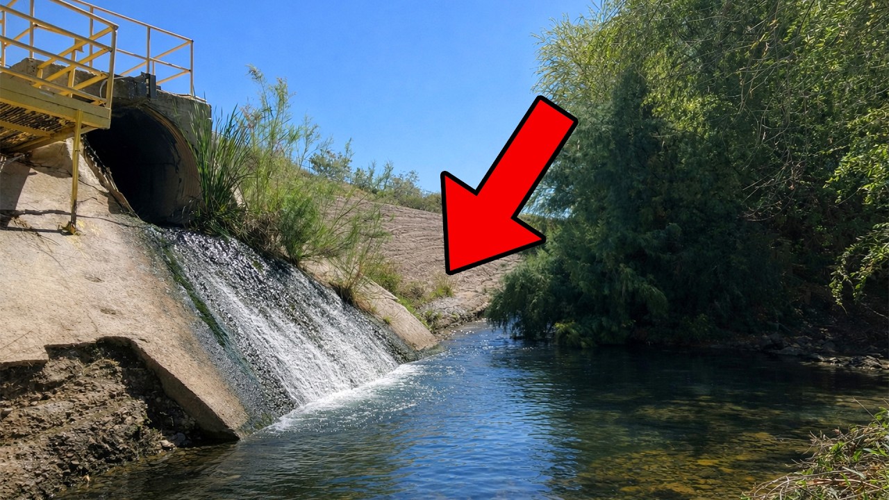 В этом крошечном, скрытом от посторонних глаз водосбросе было СЛИШКОМ МНОГО рыбы...