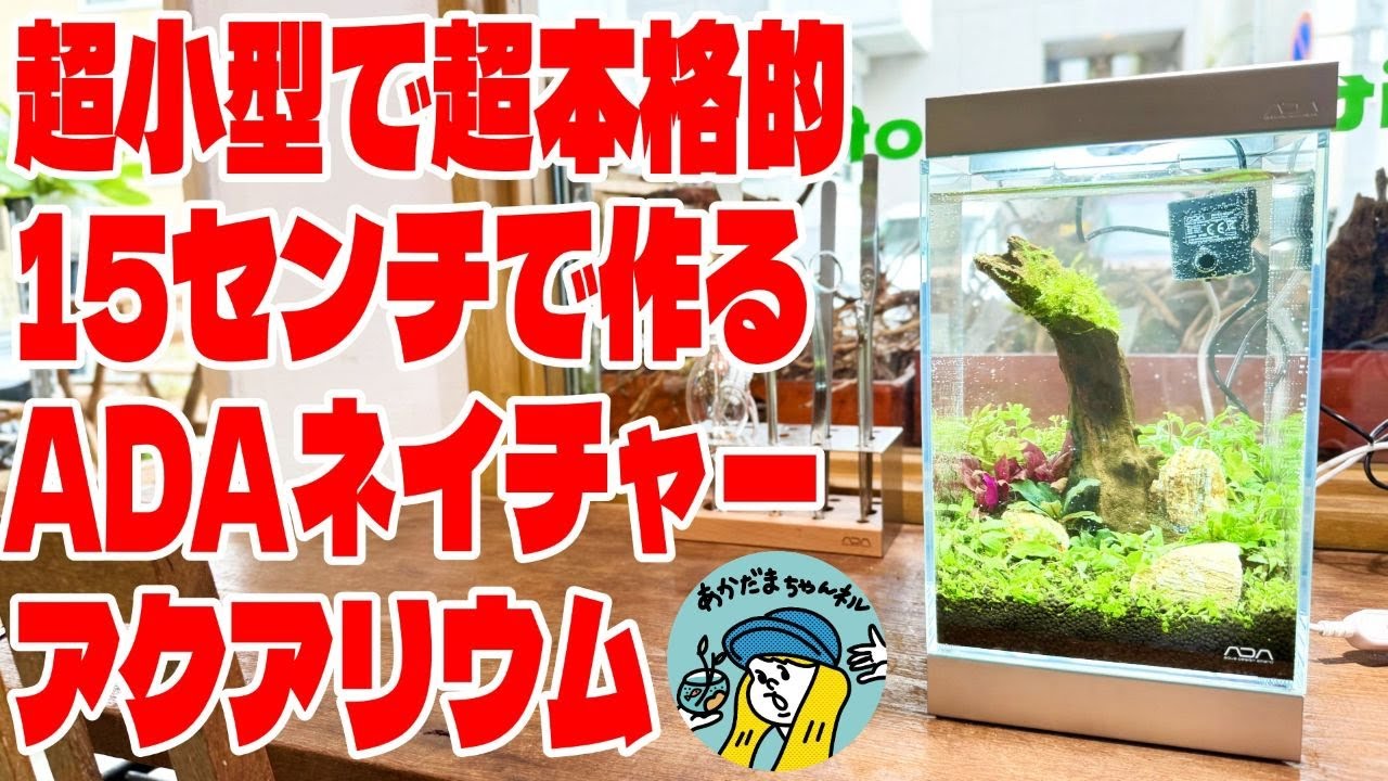 【アクアリウム】ADAの超コンパクトだけど超本格的なネイチャーアクアリウムが楽しめるミニNA150（15センチの水槽で立ち上げる水草水槽の世界）