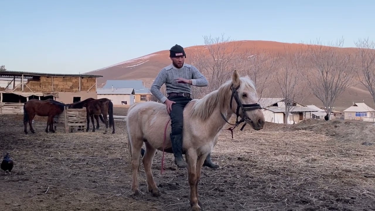 Айыл жашоо, мал чарбачылык