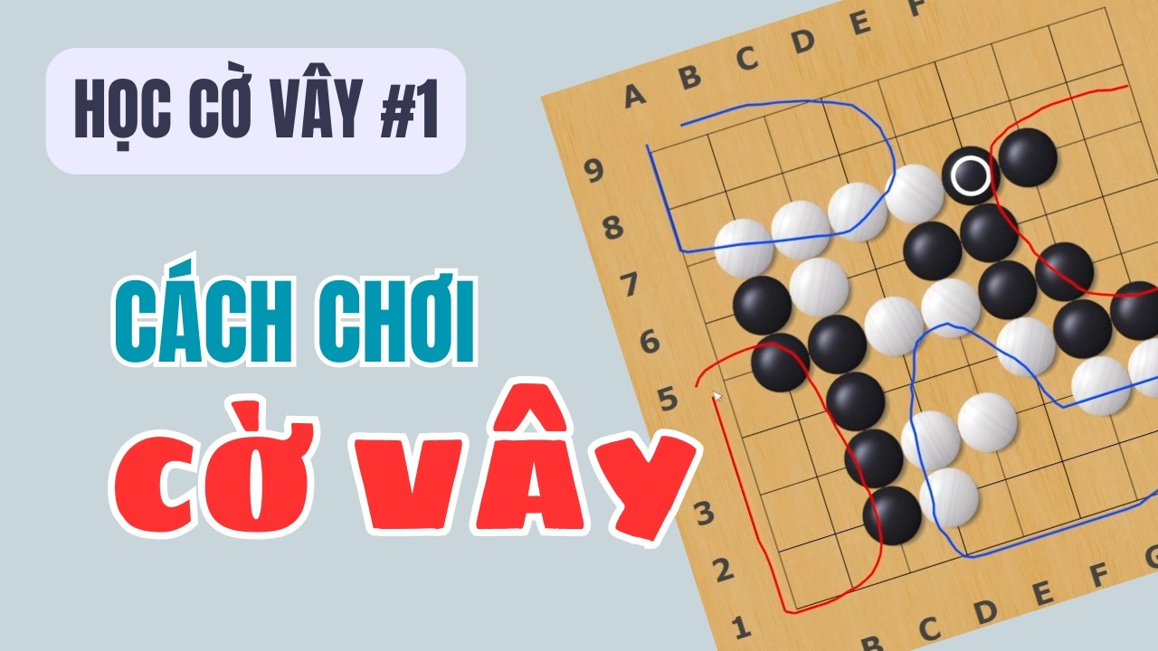 Học chơi Cờ Vây #1 : Hướng dẫn cầm tay chỉ việc + Cách chọn bàn cờ chuẩn!