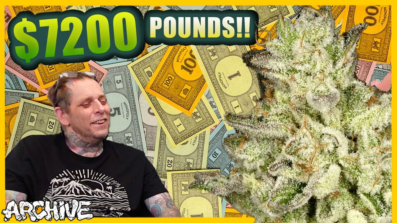OrgnKid on Getting $7200 for Bubba Kush lbs, Releasing the 1st OG Kush Seeds Online