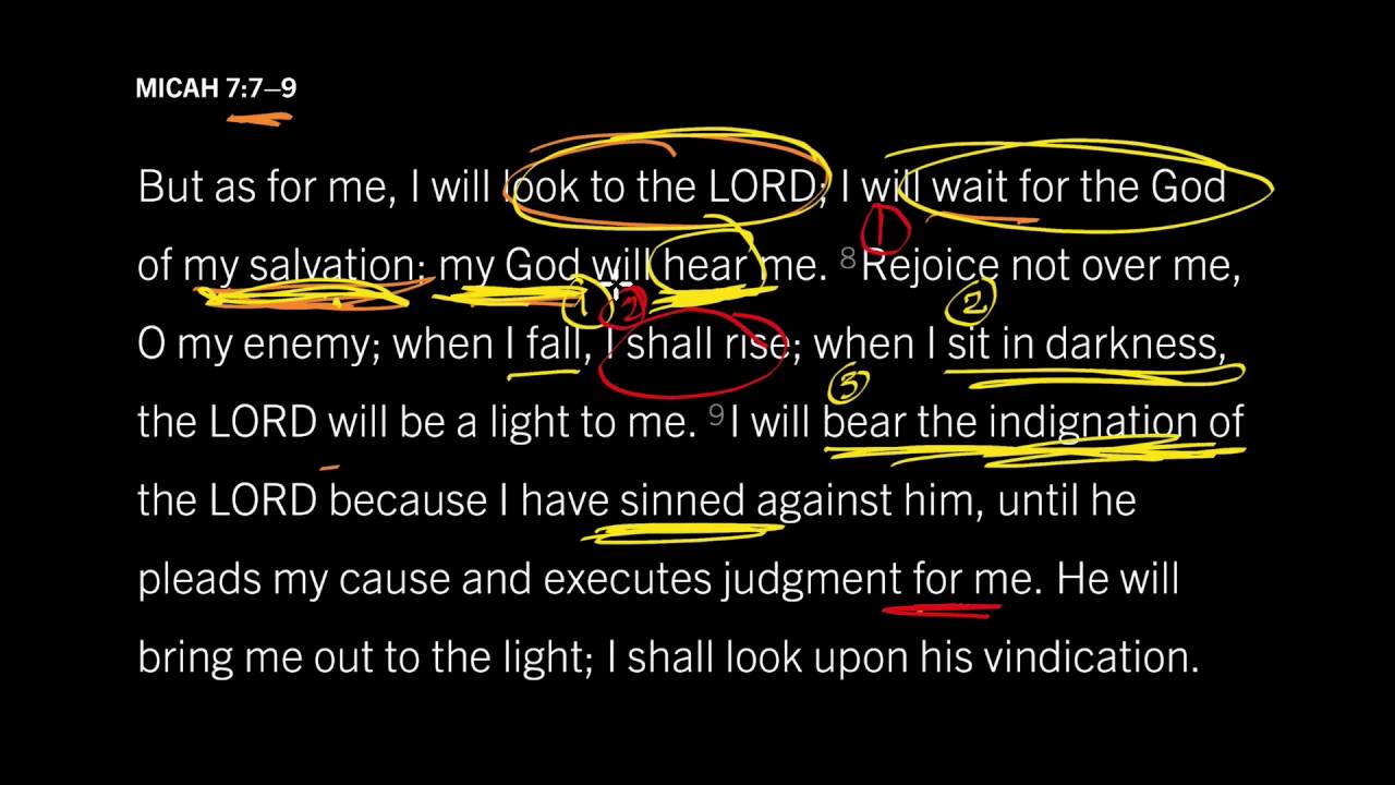 How To Rise After We Fall into Sin: Micah 7:7–9