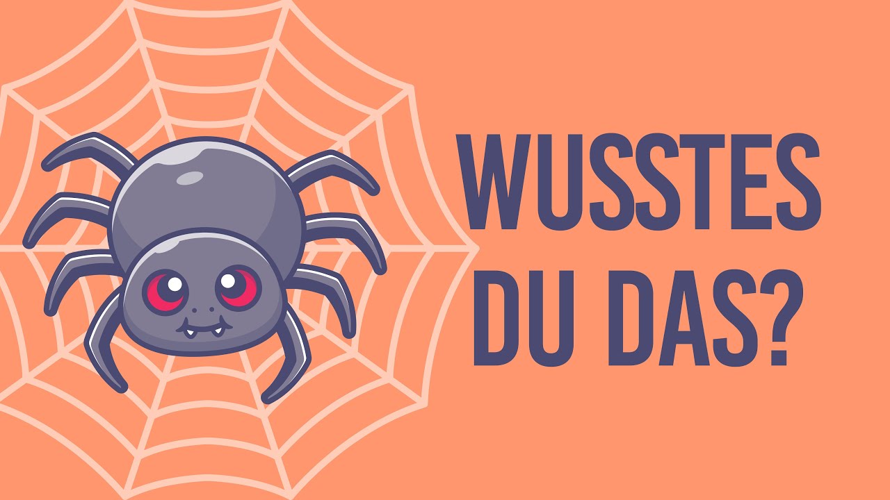 Tiere für Kinder- Was ist eine Spinne? #spider #tiere #kindervideo #instagram #viralvideo #viral