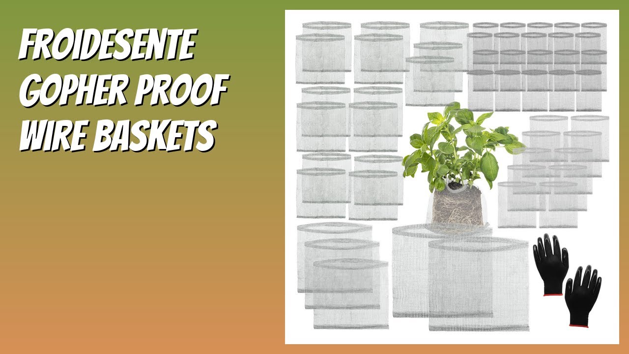 REVIEW (2026): Froidesente Gopher Proof Wire Baskets. Features