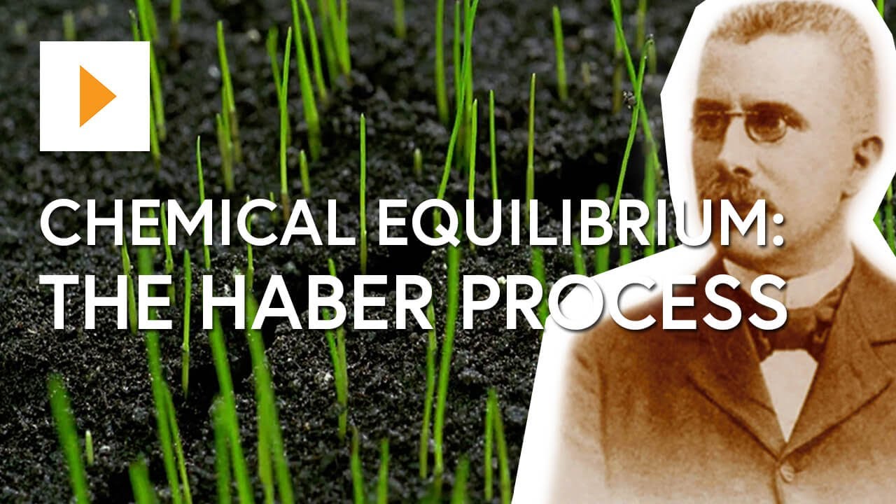 Chemical Equilibrium: The Haber Process