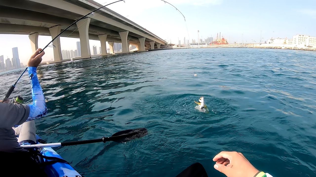 KAYAK FISHING UAE ep.1#abudhabikayakfishing#sabiki#jig#casting#baitandwait#vlog45