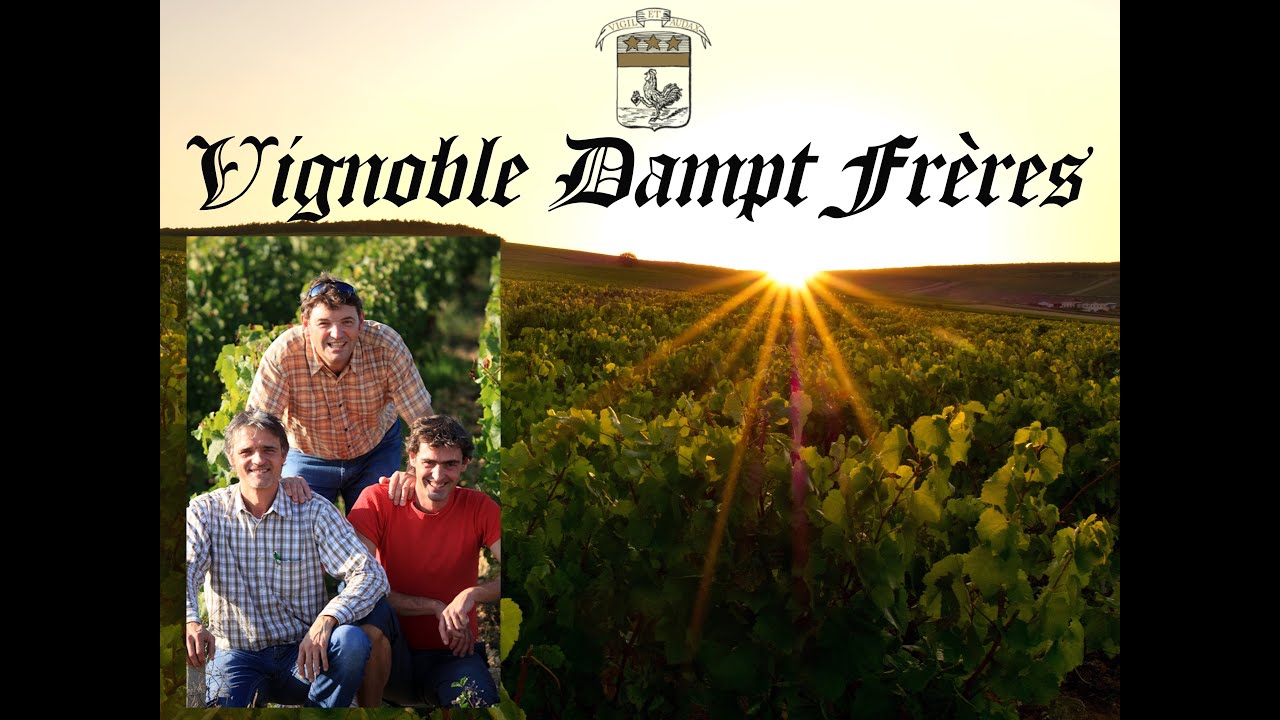 VIDÉO PROMO : Vignoble DAMPT FRERES
