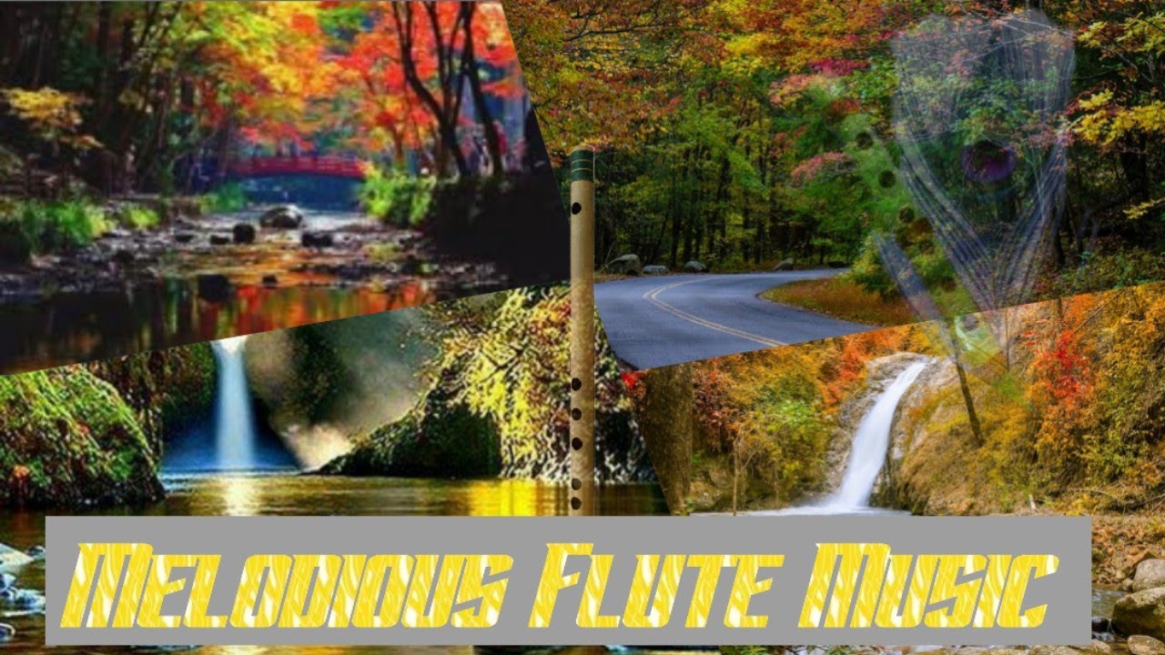 Flute Background Music
