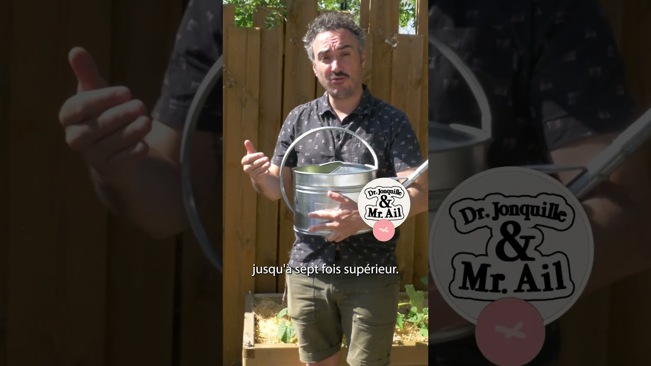 L'urine, c'est l'or jaune du potager : un engrais naturel illimit&eacute; !⏐Dr Jonquille et Mr Ail #potager