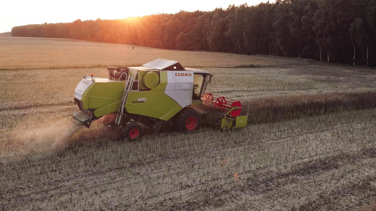 ☆Wieczorne Żniwa Rzepakowe 2021☆Claas Tucano 320☆Massey Ferguson 7614☆HW☆TheWiktor912
