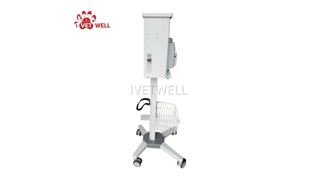 What Does a High-Quality Veterinary Anesthesia Machine Look Like?