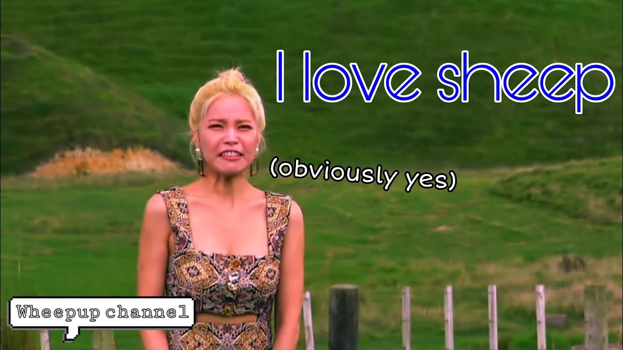 Yongsun meeting a sheep for the 1st time