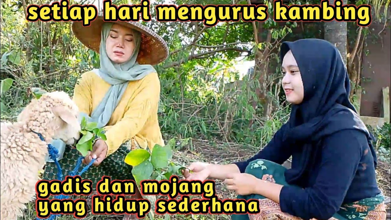 MASIH ADA AJA DI JAMAN SEKARWNG...NENG NISA GADIS DESA SEDANG MENGEMBALA KAMBING...