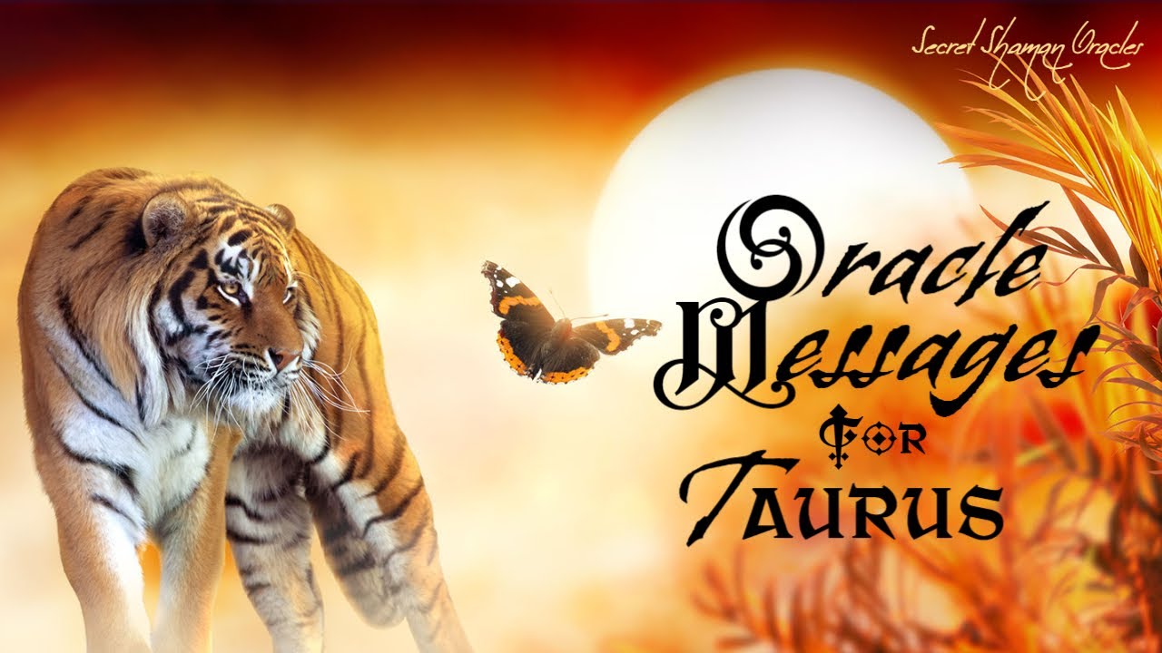 Taurus- You Can't See It Yet, But You're Being Helped By Heaven & There's Nothing To Worry About