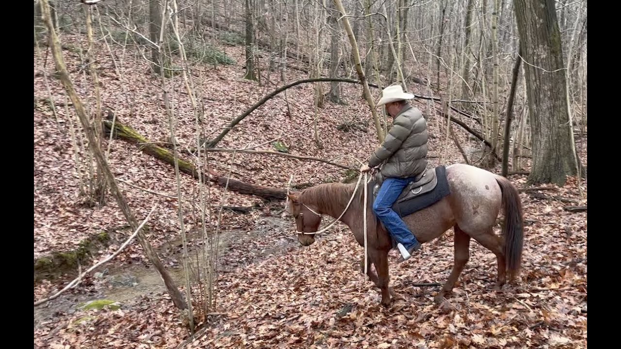Let the Rocks, Brush, Creeks, and Trees Train Your Horse (Episode 87) - Herm Gailey
