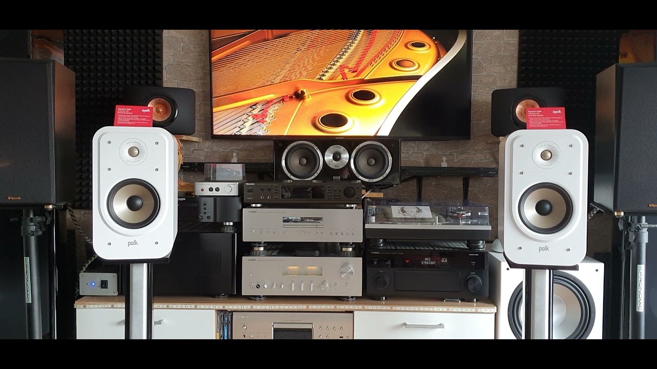#Polk Audio Signature S20E ( Bed of Roses)