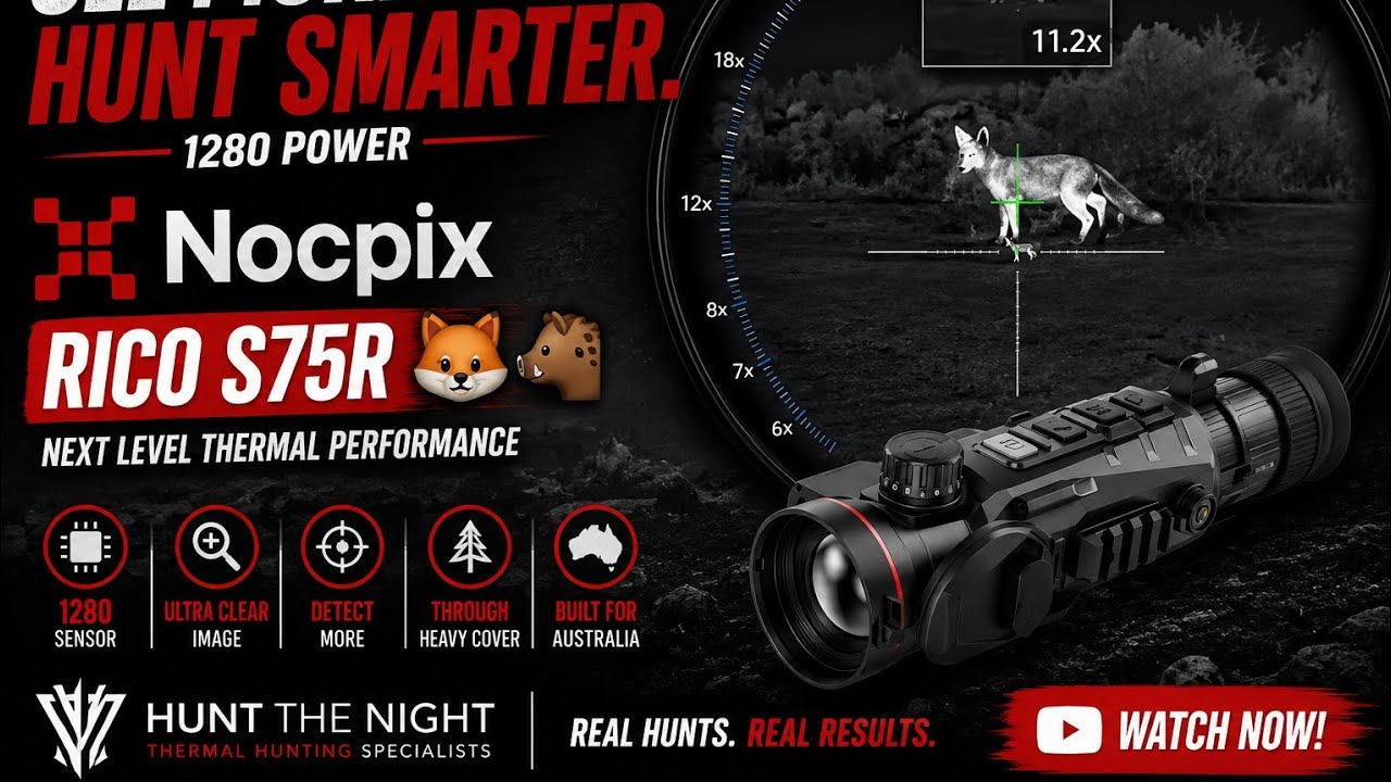 Shots with the king of scopes — the Nocpix Rico S75R 👑 🦊🐗🐈