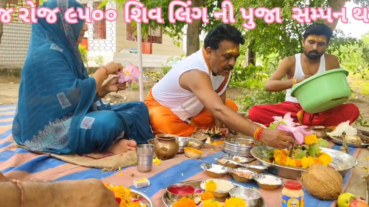 ૨ દિવસ પવિત્ર શ્રાવણ માસના સત્સંગ ધામમાં નર્મદેશ્વર મહાદેવના સાંનિધ્યમાં આજે ૯૫૦૦ શિવલિંગની પૂજા કરી