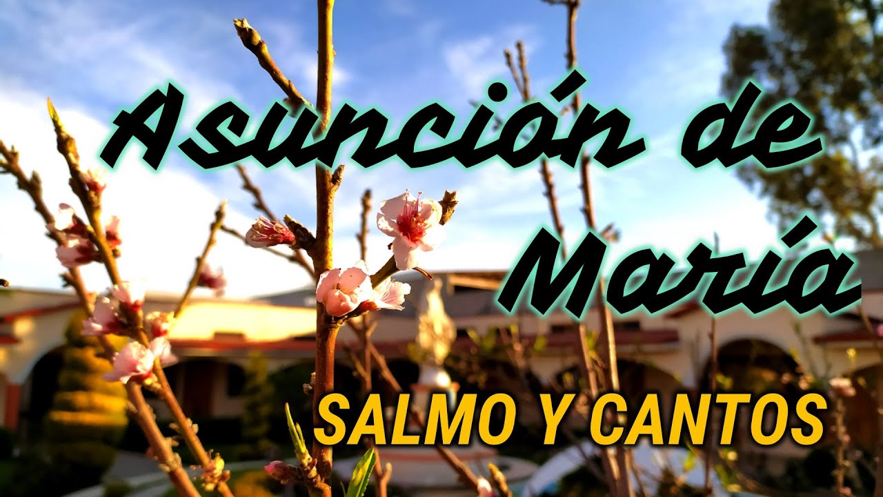 SALMO Y CANTOS PARA SOLEMNIDAD DE LA ASUNCIÓN DE MARÍA | 15 DE AGOSTO