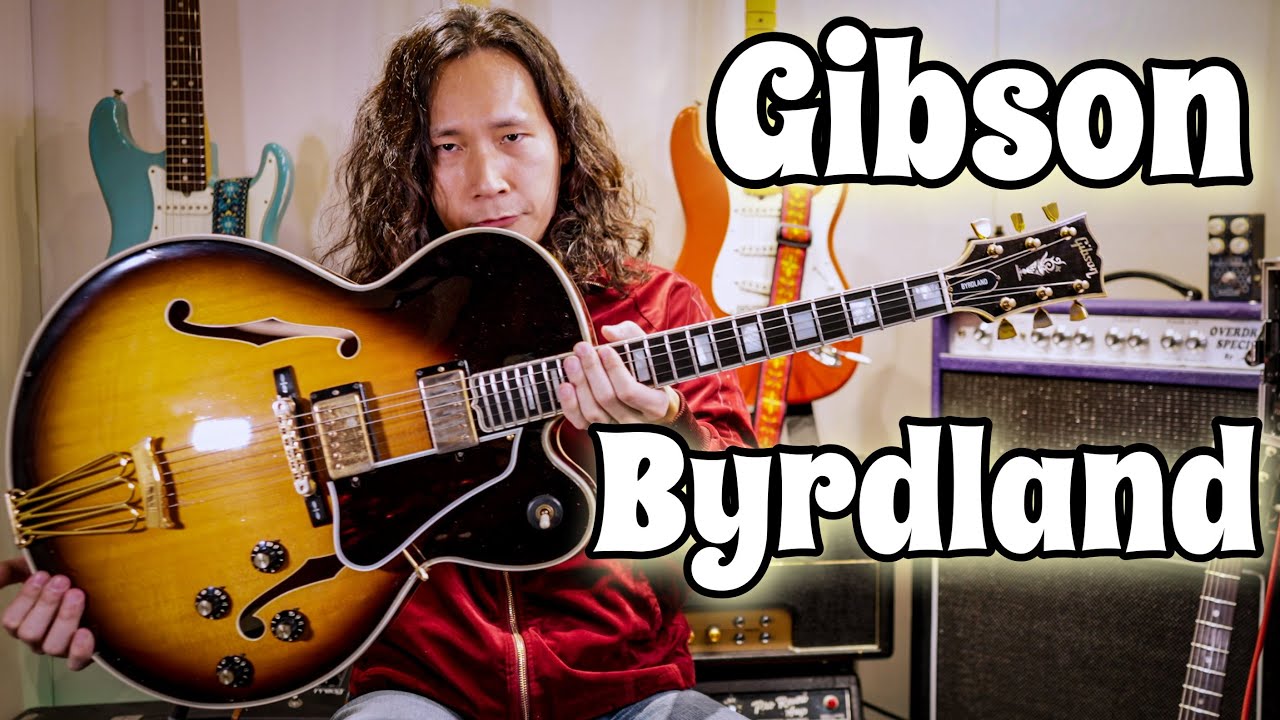 【ヴィンテージ】フルアコを徹底的に弾いてみた🎸バードランド 1976年製 Gibson Byrdland
