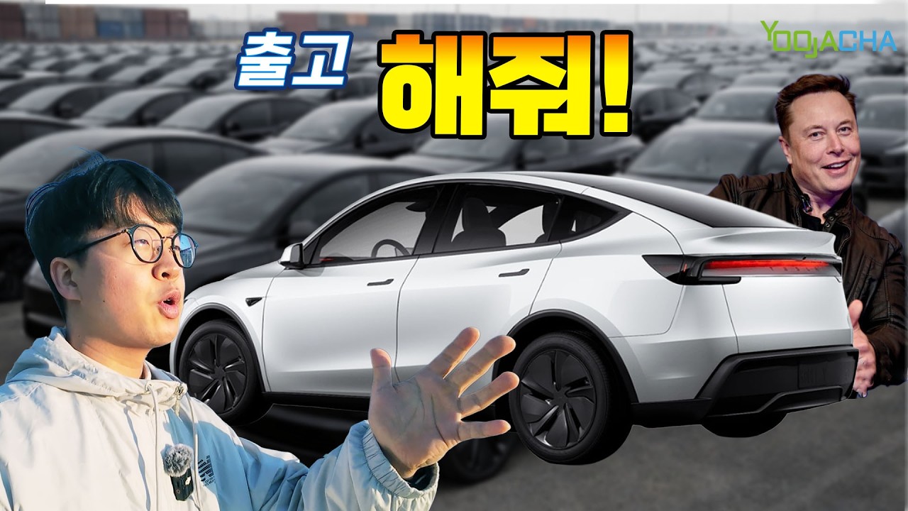 흰색 시트 출고 안 해주는 테슬라, 무슨 비밀이?