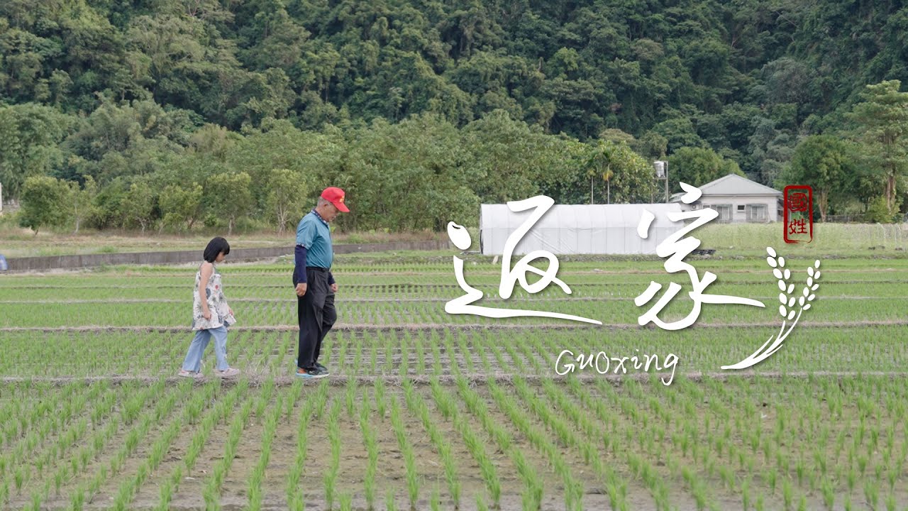 南投48拍 - 短影音限時創作賽 《返家》- 首獎｜南投國姓鄉｜糯米橋休閒農業區 新豐農場 冷泉米