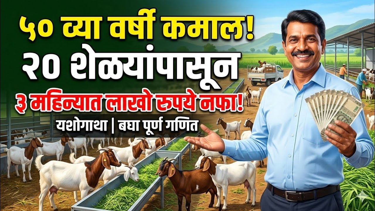 ५० व्या वर्षी कमाल! २० शेळ्यांपासून ३ महिन्यात लाखो रुपयांची कमाई | शेळीपालन यशोगाथा!