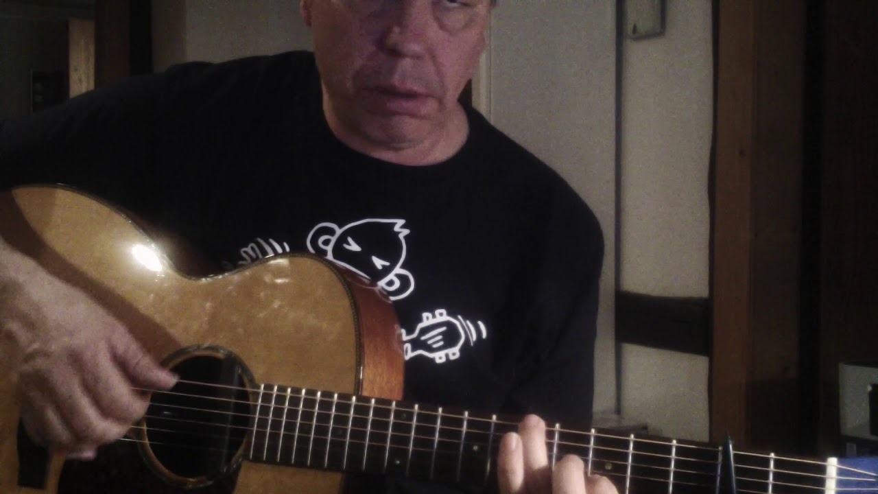Kurzreview: Fishman Rare Earth Blend, Rozawood RB11, AER Compact 60/3