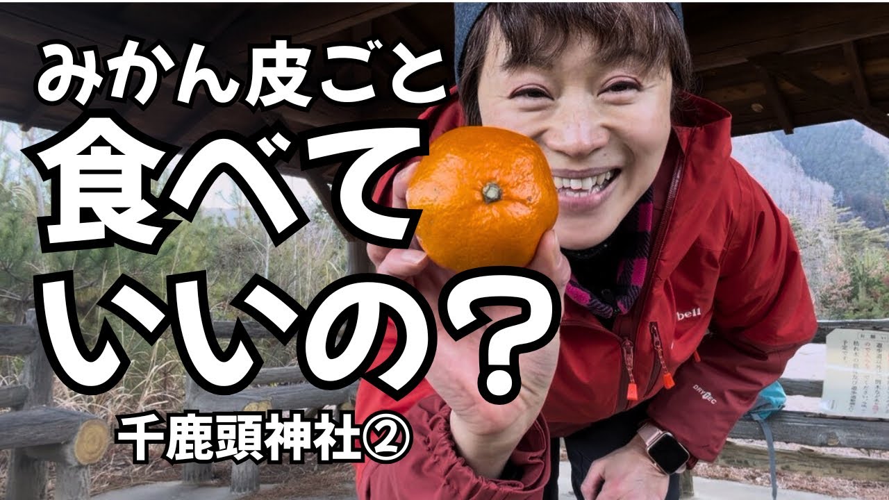 【歩いて整える】千鹿頭神社で一休み｜みかんの皮は体を温める？自然の知恵🍊