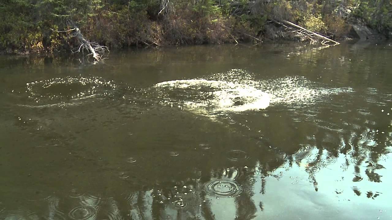 X-Rap Pike Explosion