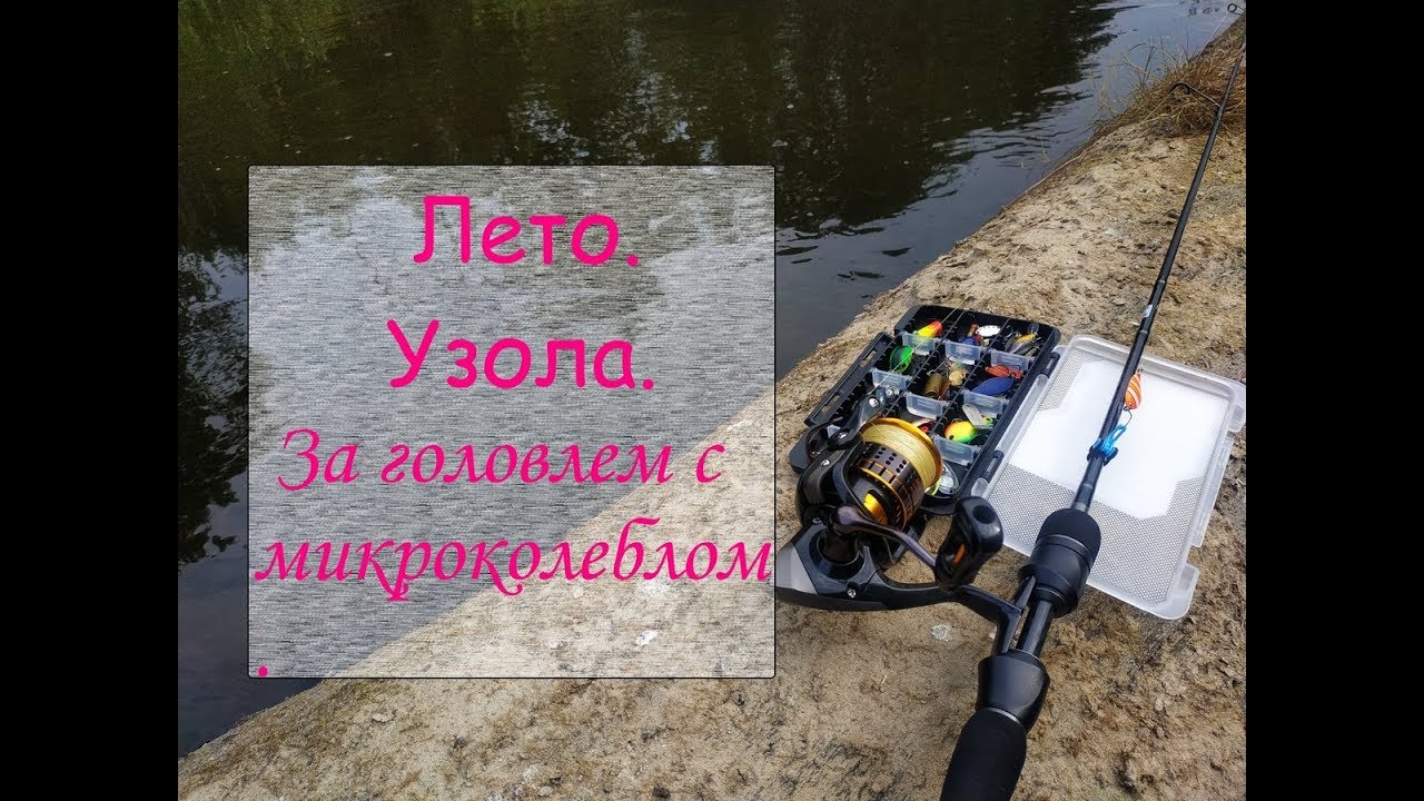 Лето. Узола. За головлем с микроколеблом.