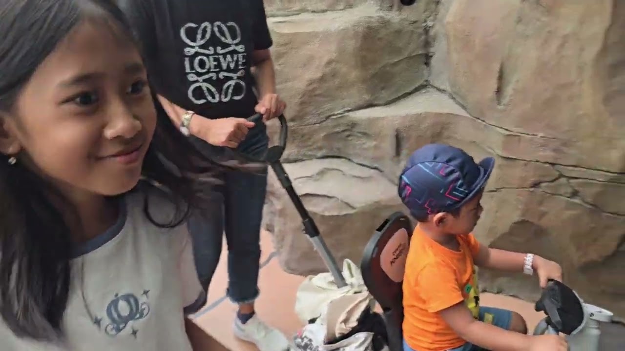 Jalan ke mini zoo