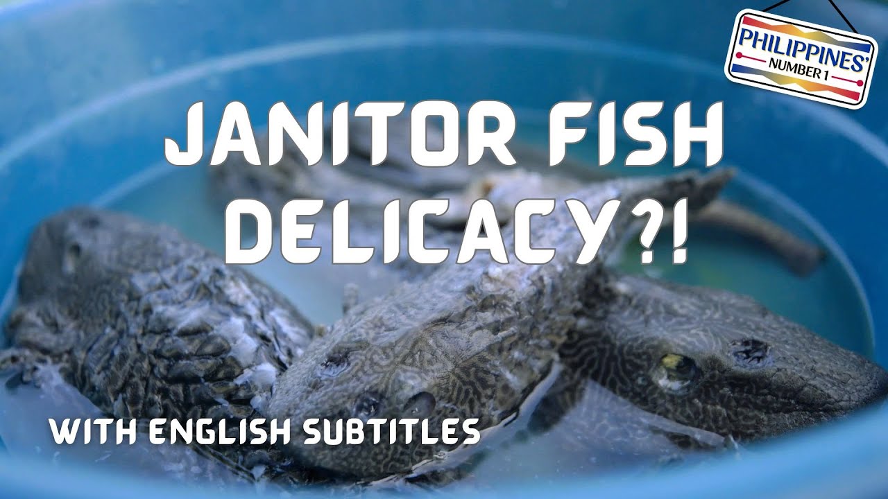 Janitor fish turned delicacy with Florame Boholana! (with English subs) | Philippines&rsquo; Number 1