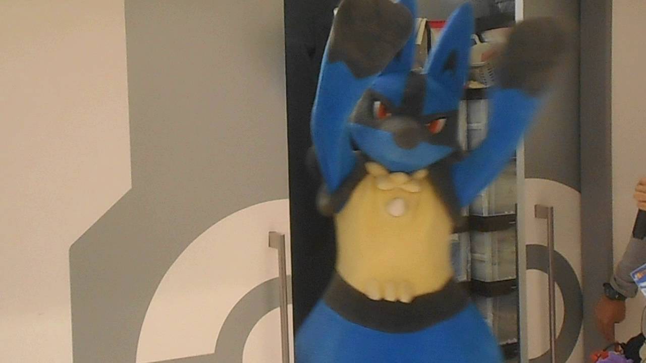 なかなか帰ろうとしないルカリオ