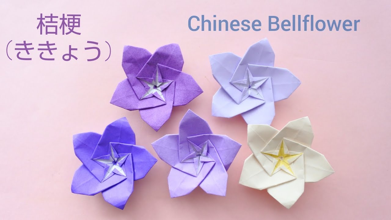 折り紙【桔梗(ききょう)】Origami flower(Chinese Bellflower)