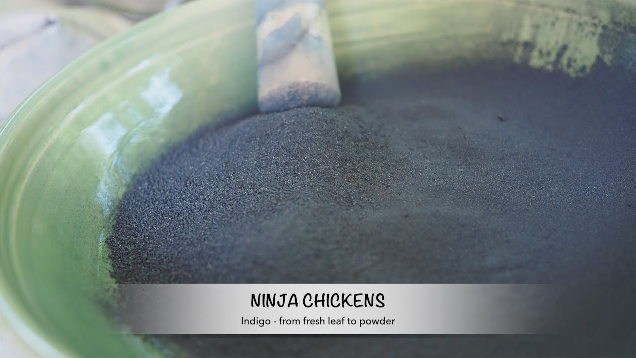 Indigo - from fresh leaves to powder