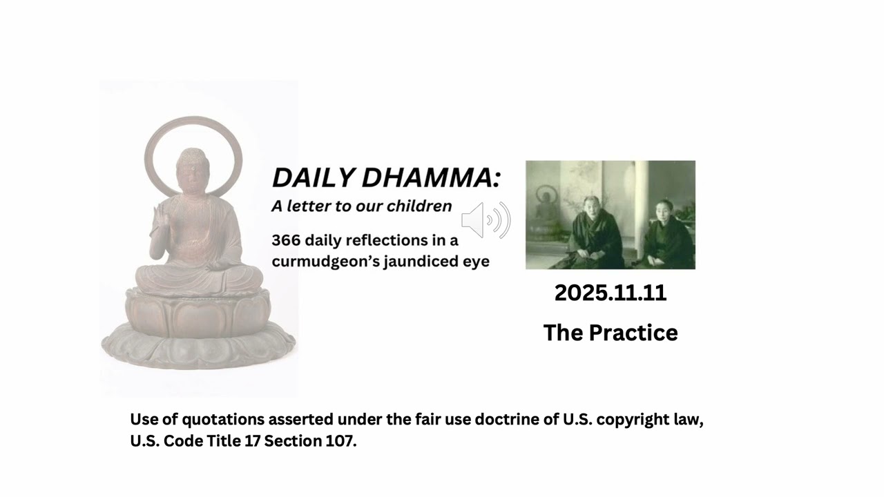 The practice daily dhamma a letter to our children