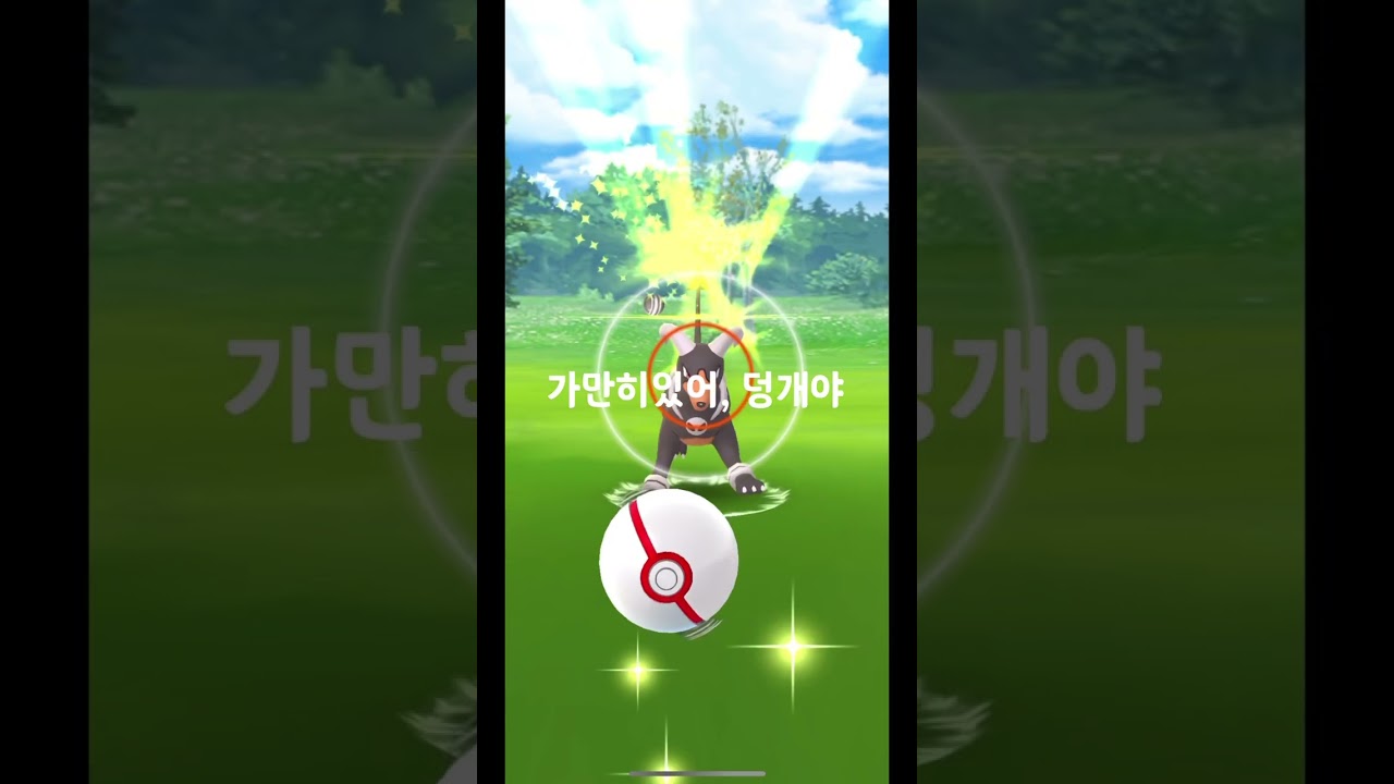 [규피셜] 메가헬가, 한마리잡으면 두마리 메가진화가능, 일단 잡고 보는거야~.~ #메가헬가 #포켓몬고 #poketmongo #헬가