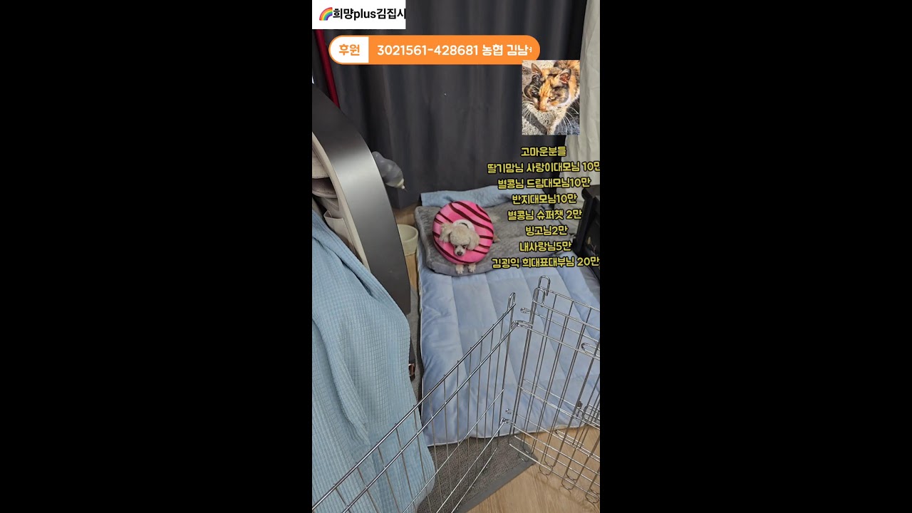 20260121희망플러스 김집사네 라이브  #동물  #애견 #고양이 #강아지 #소통 #고민상담