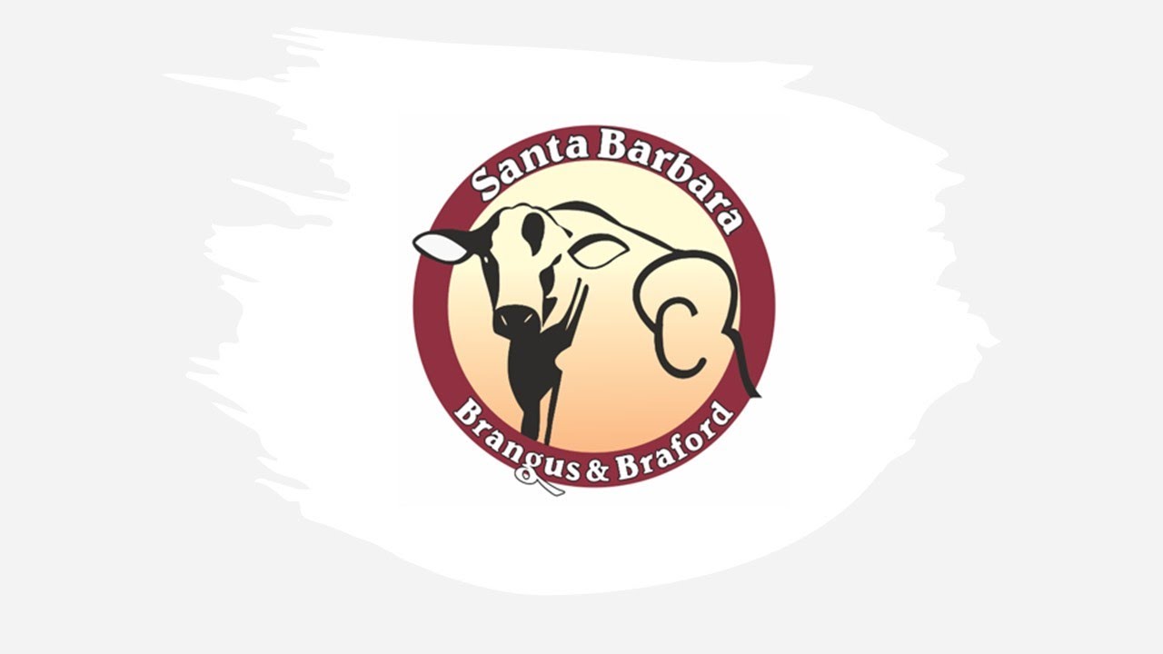 SANTA BARBARA BRANGUS JALISCO