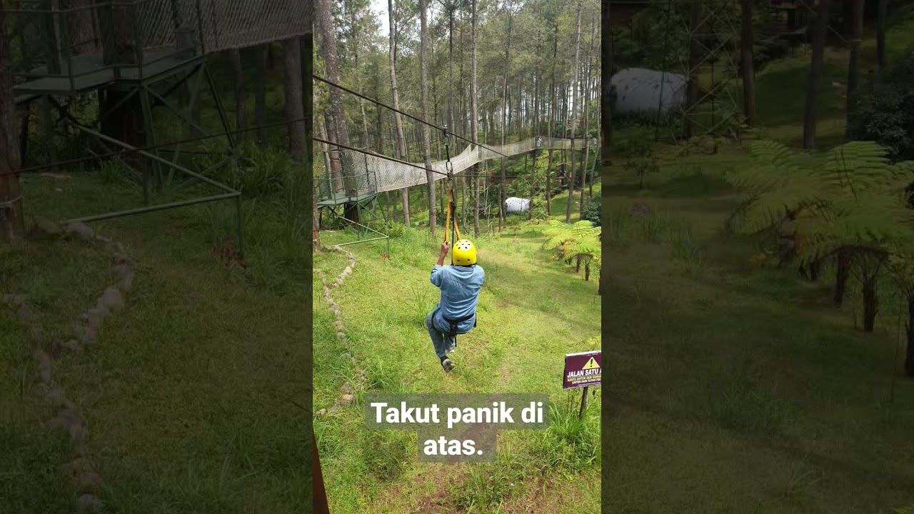 takut panik saat flying fox