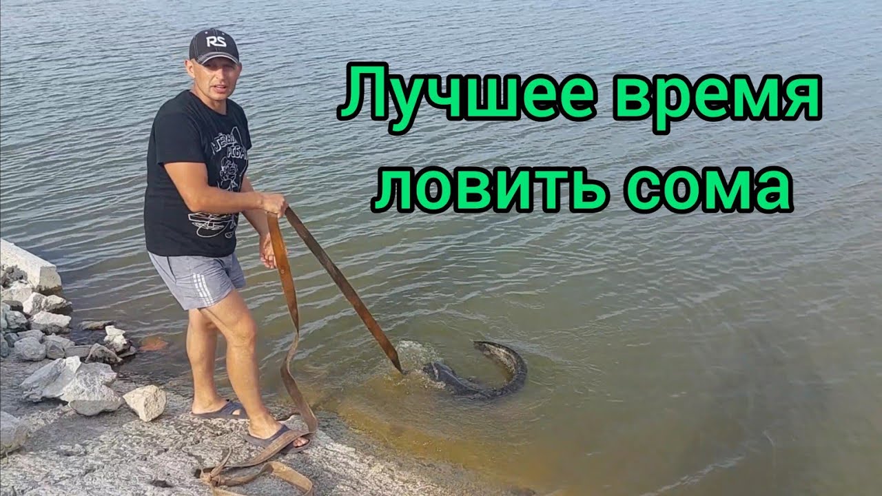 Ловля сома на перемёты. И настоящий мужской отдых 2023 в Беларуси..