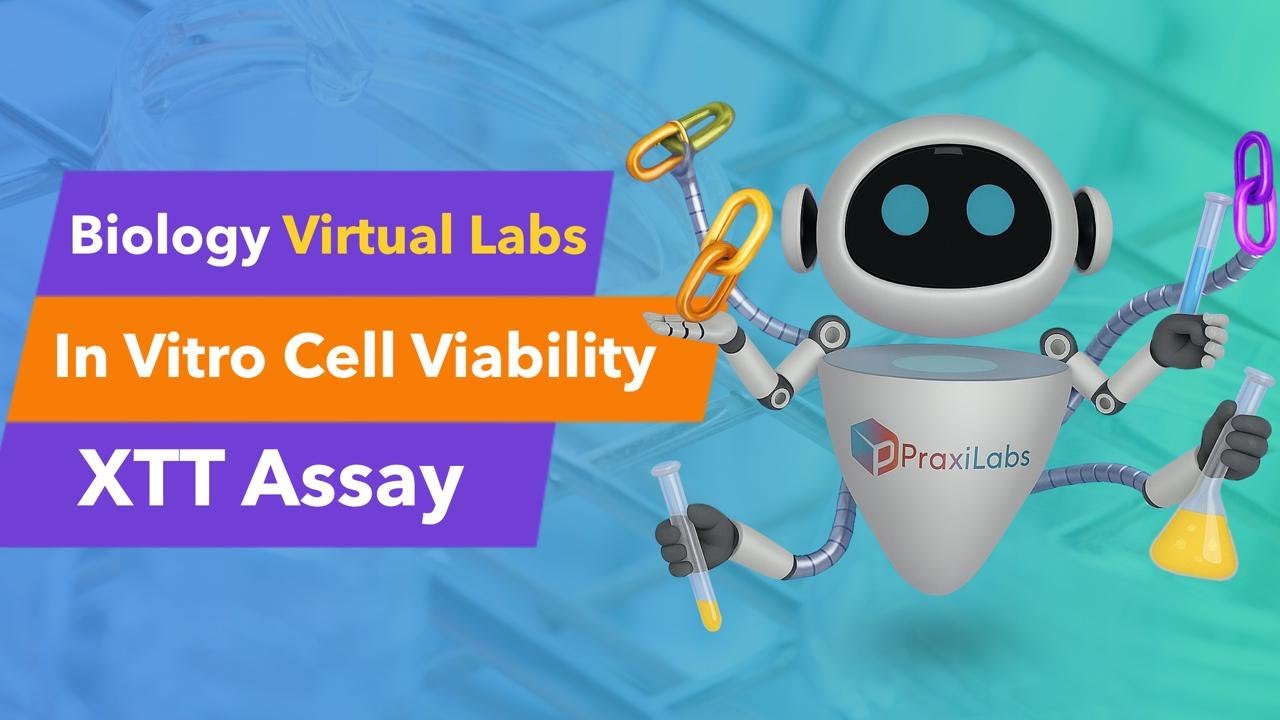 In Vitro Viability Assay Using Tetrazolium Salt XTT - Walkthrough Video
