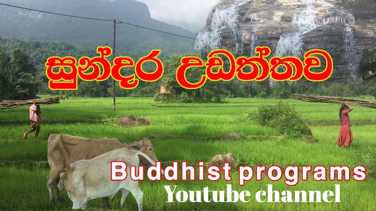 Waterfalls| sri lankan village| udaththawa | travel srilanka