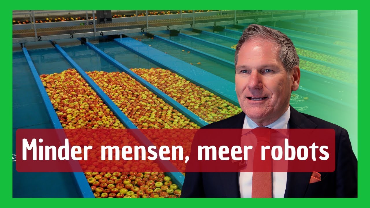 Fruit verpakken, sorteren en verzenden? zo werkt het bij FruitMasters