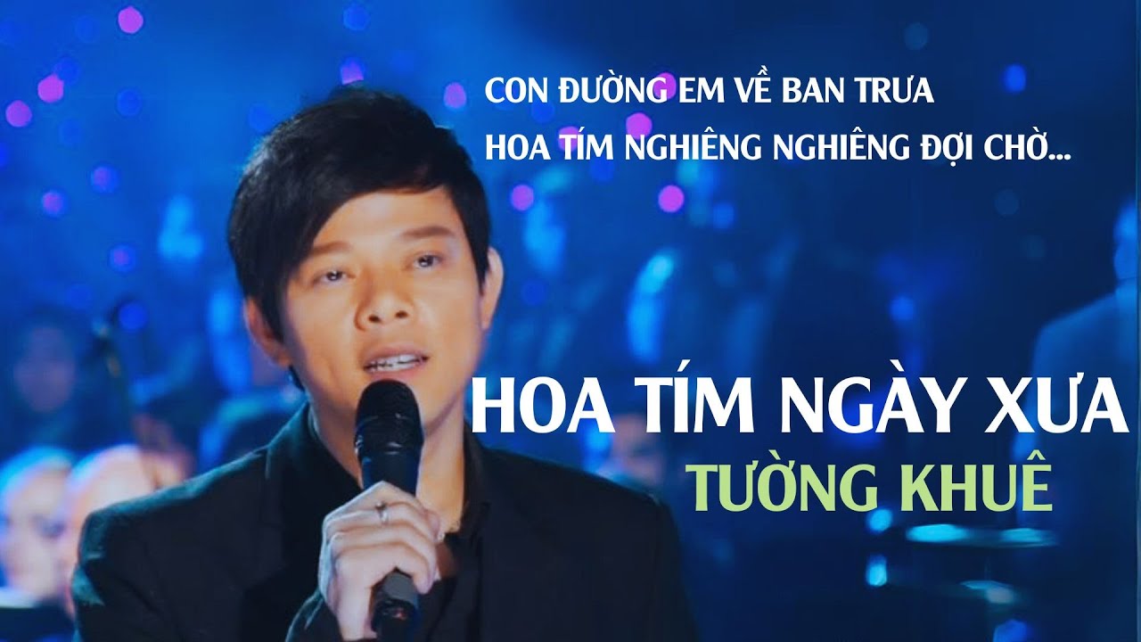 Hoa T&iacute;m Ng&agrave;y Xưa - Tường Khu&ecirc; - Con Đường Em Về Ban Trưa
