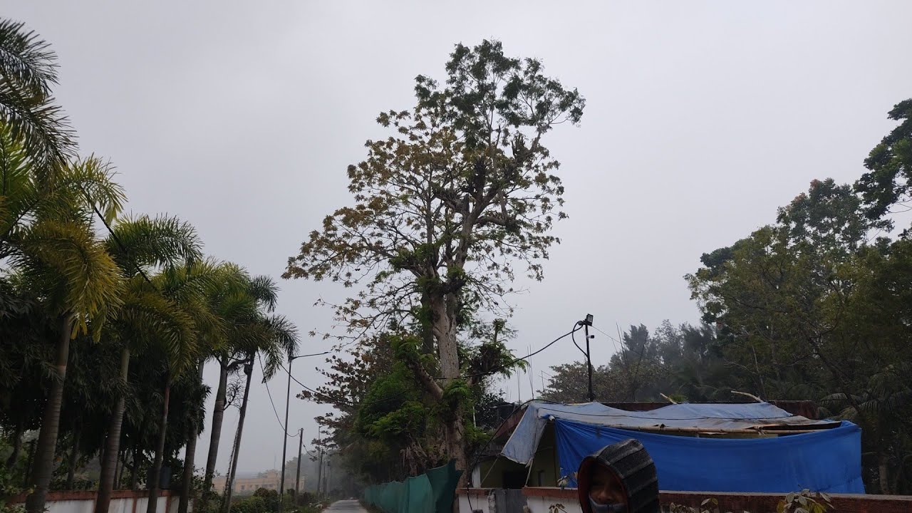 A beautiful  winter morning in a village. Morning walk vlog at the river side. Dipika das vlog
