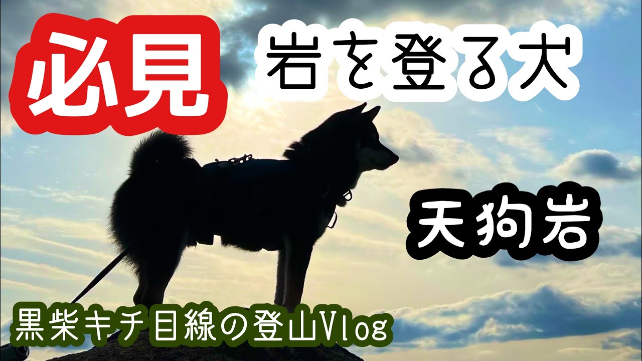 犬と登山 Vol.12 冬の金勝アルプス