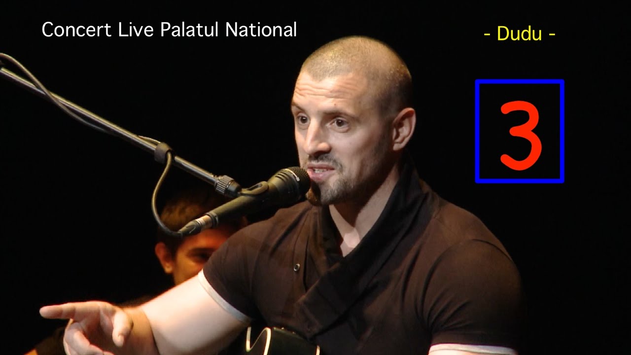 Pavel Stratan - Dudu - (Palatul National - concert live)