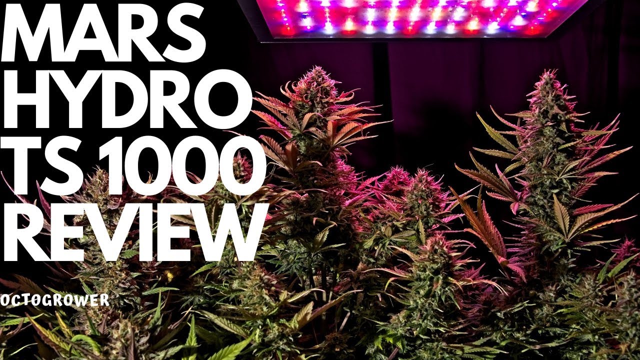 MARS HYDRO TS1000 REVIEW